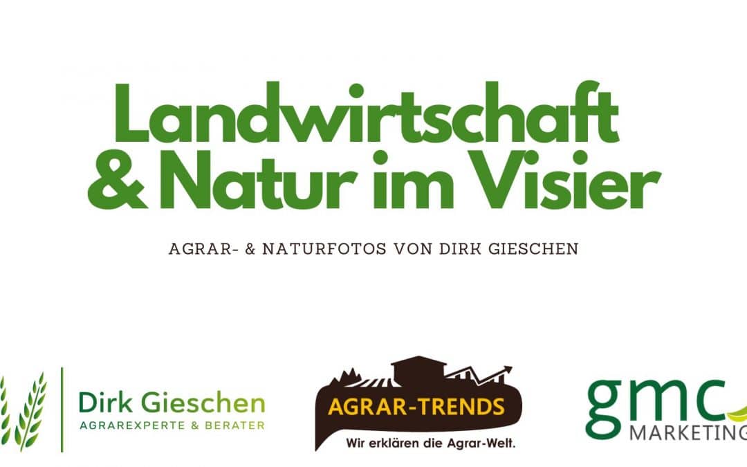 Landwirtschaft & Natur im Visier – Agrar- & Naturfotos von Dirk Gieschen