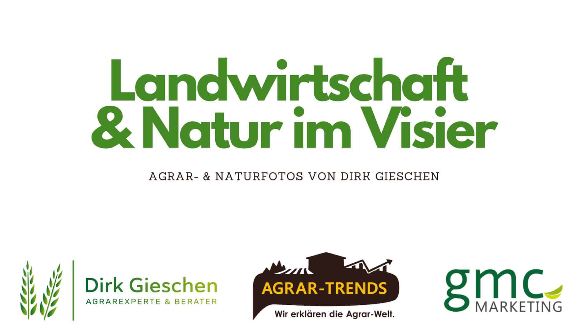 Landwirtschaft & Natur im Visier – Agrar- & Naturfotos von Dirk Gieschen